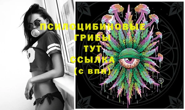 соль курить ск Горно-Алтайск